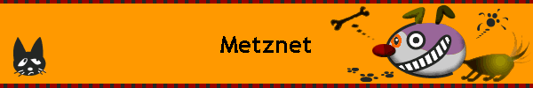 Metznet